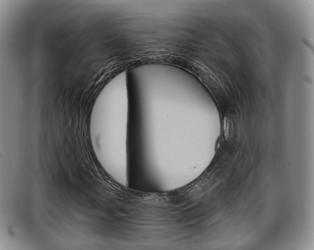 X0000098201107200804241032