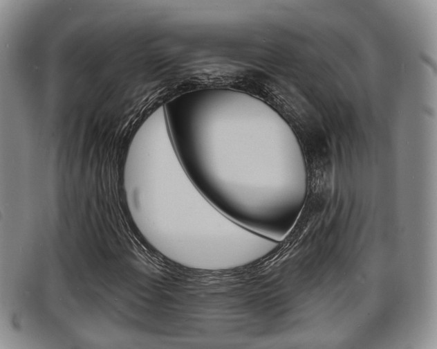 X0000098201108200804241032