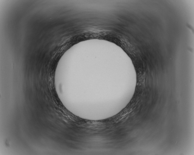 X0000098201109200804241032