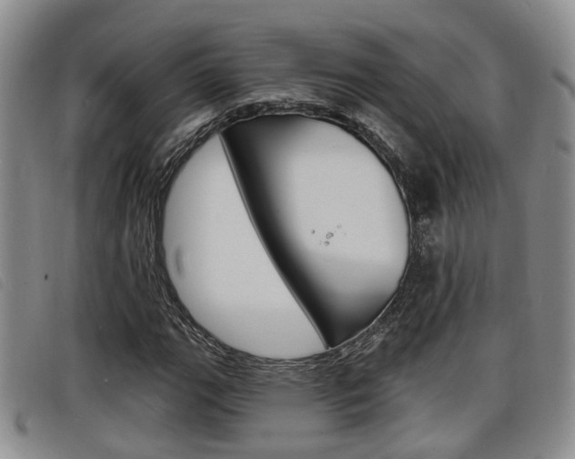X0000098201111200804241032