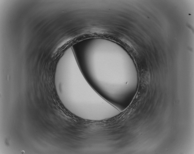 X0000098201112200804241032