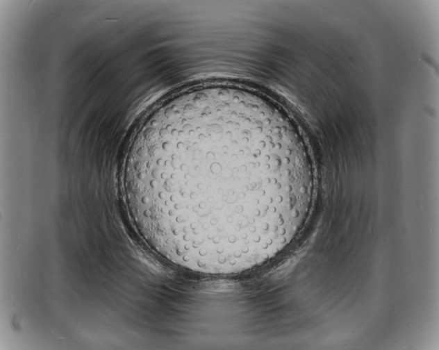 X0000098201113200804241032