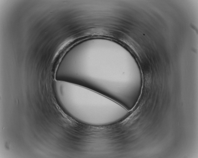 X0000098201115200804241032