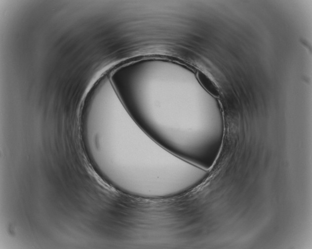X0000098201116200804241032