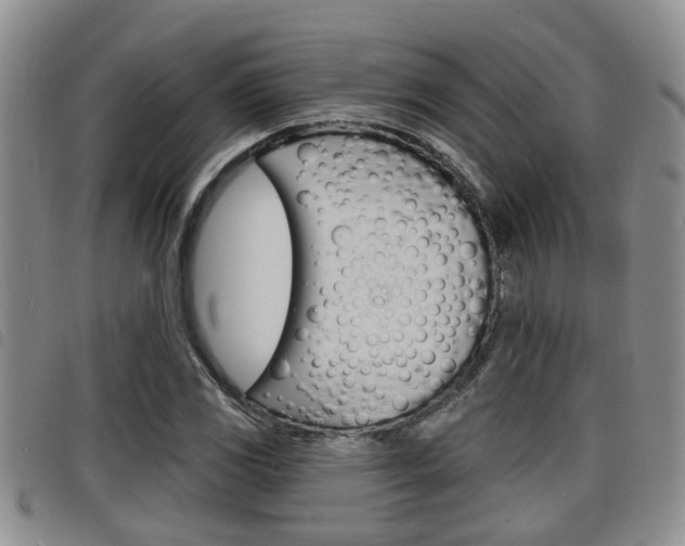 X0000098201117200804241032