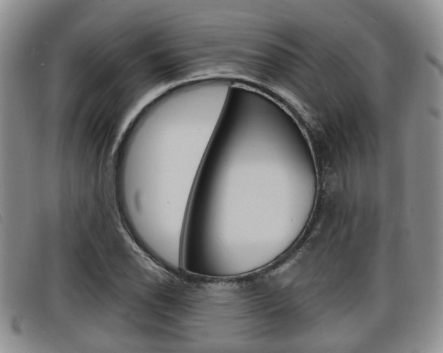 X0000098201118200804241032
