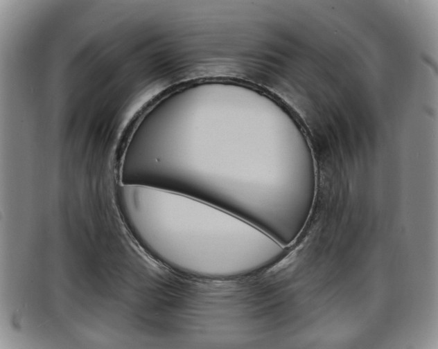 X0000098201119200804241032