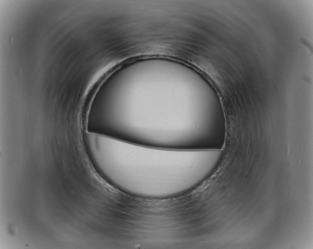 X0000098201120200804241032