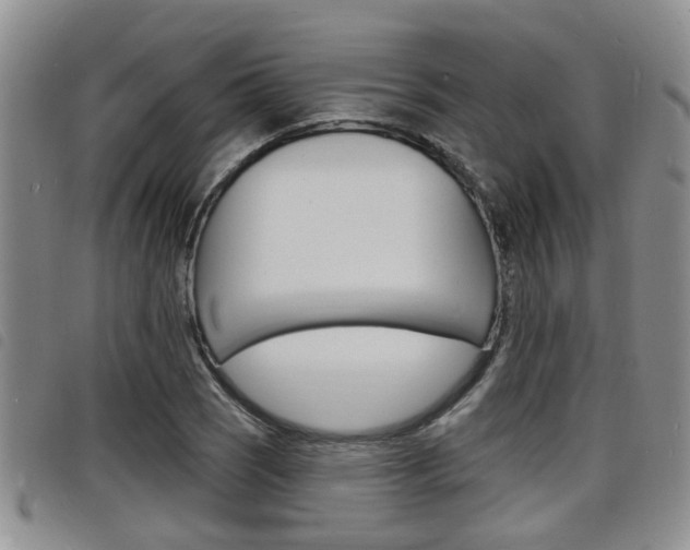 X0000098201121200804241032