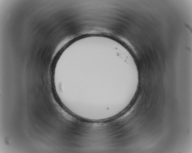 X0000098201122200804241032