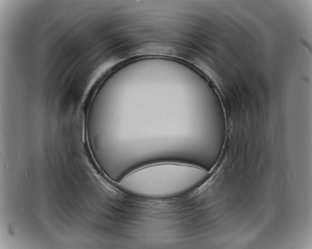 X0000098201123200804241032