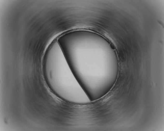 X0000098201124200804241032
