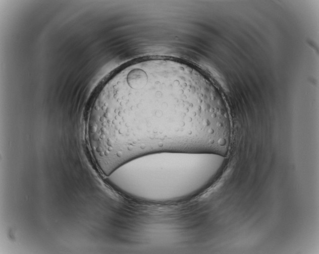X0000098201125200804241032