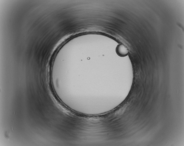 X0000098201126200804241032