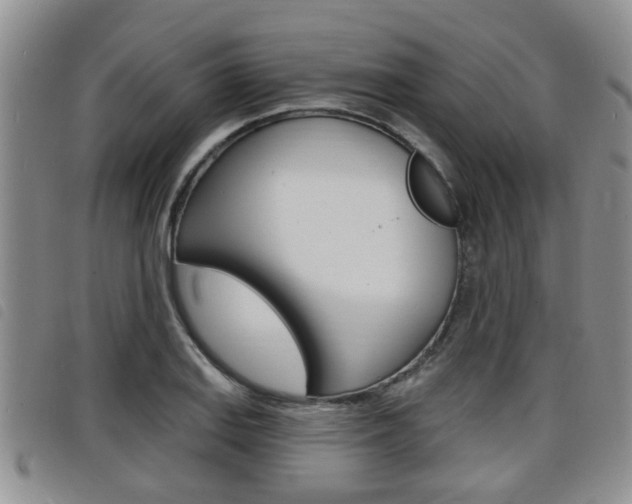 X0000098201127200804241032
