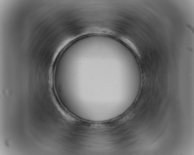 X0000098201128200804241032