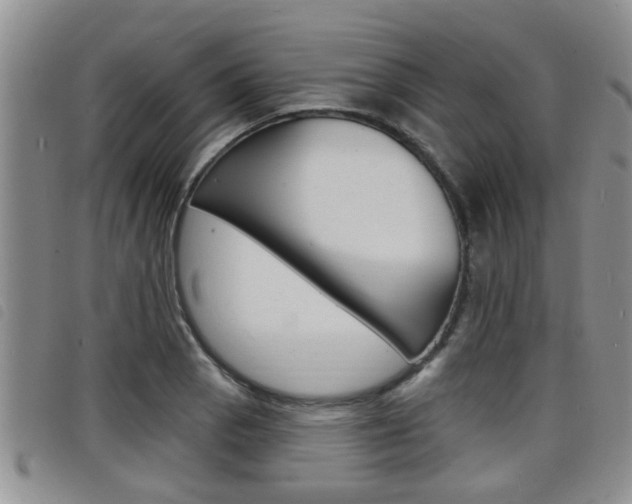 X0000098201129200804241032