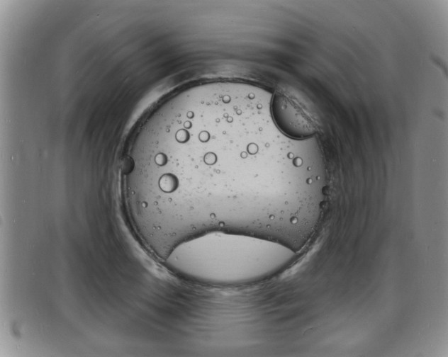 X0000098201130200804241032