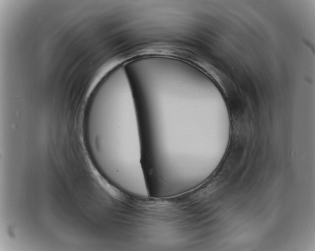 X0000098201131200804241032