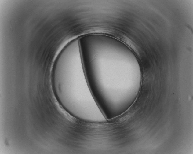 X0000098201132200804241032