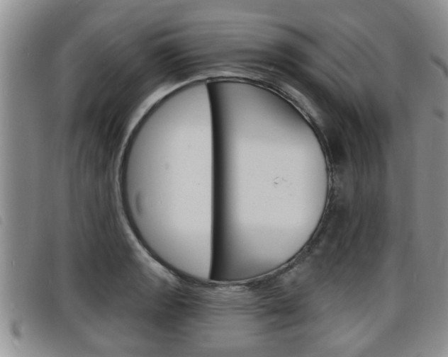 X0000098201133200804241032