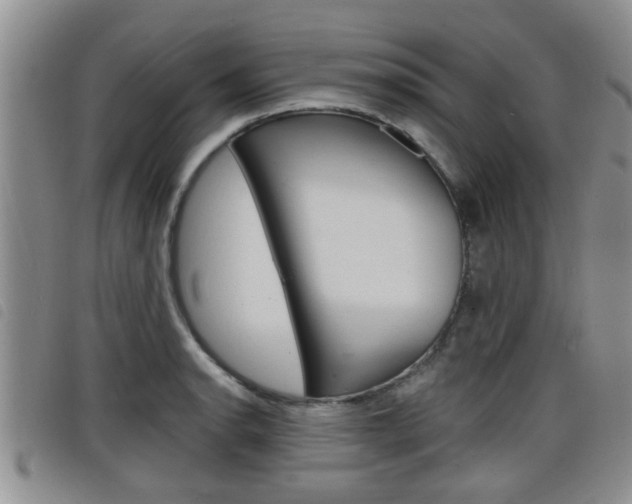 X0000098201134200804241032