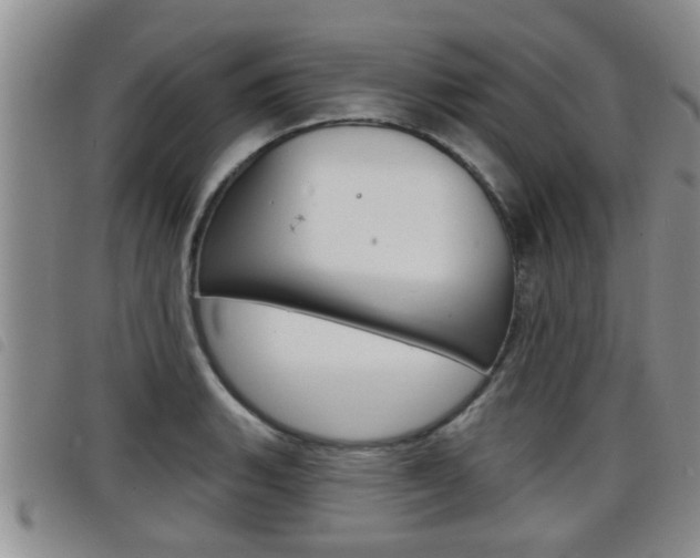X0000098201135200804241032
