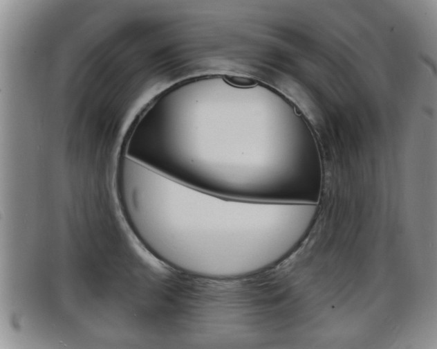 X0000098201136200804241032