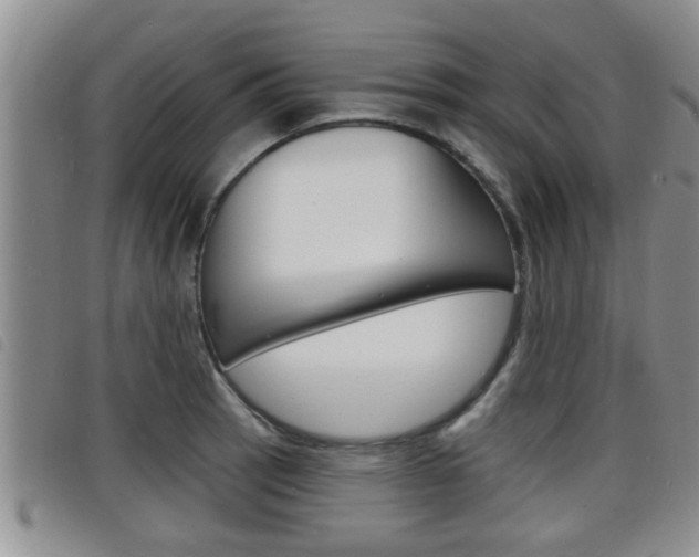 X0000098201137200804241032