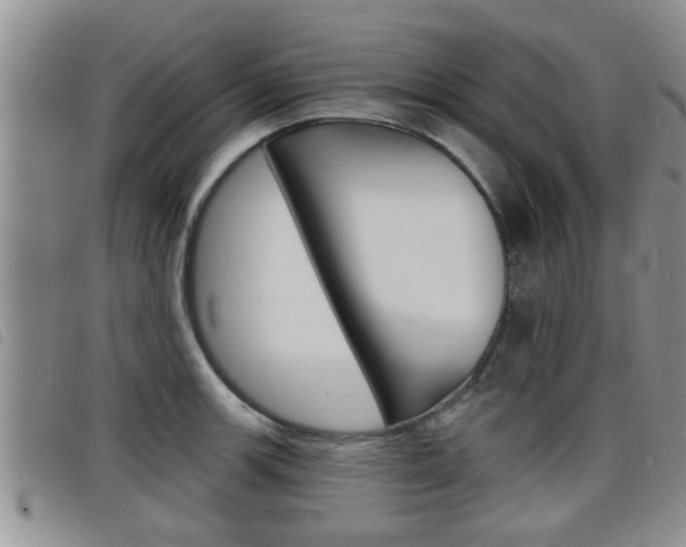 X0000098201139200804241032