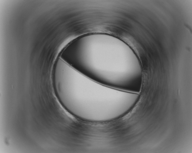 X0000098201141200804241032