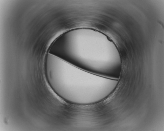 X0000098201142200804241032