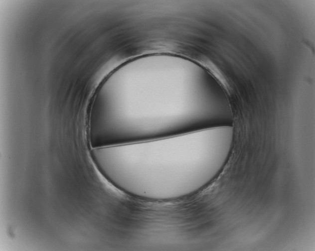 X0000098201143200804241032