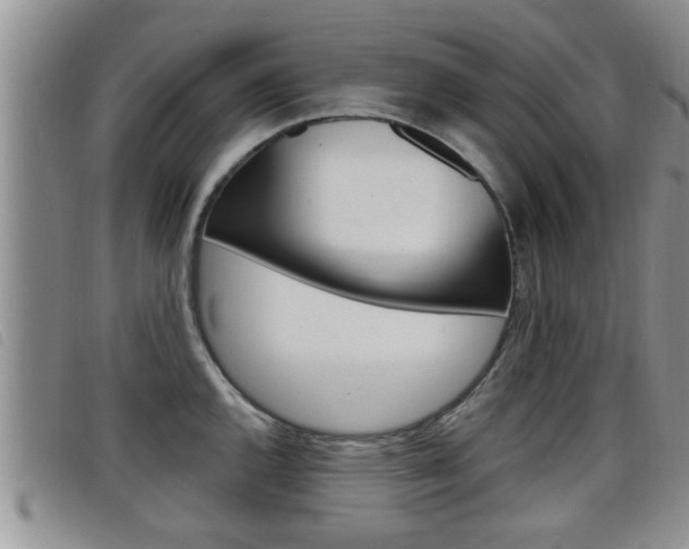 X0000098201144200804241032