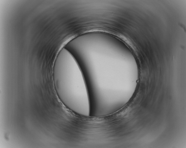 X0000098201145200804241032