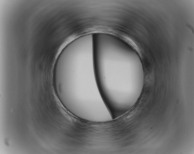 X0000098201146200804241032