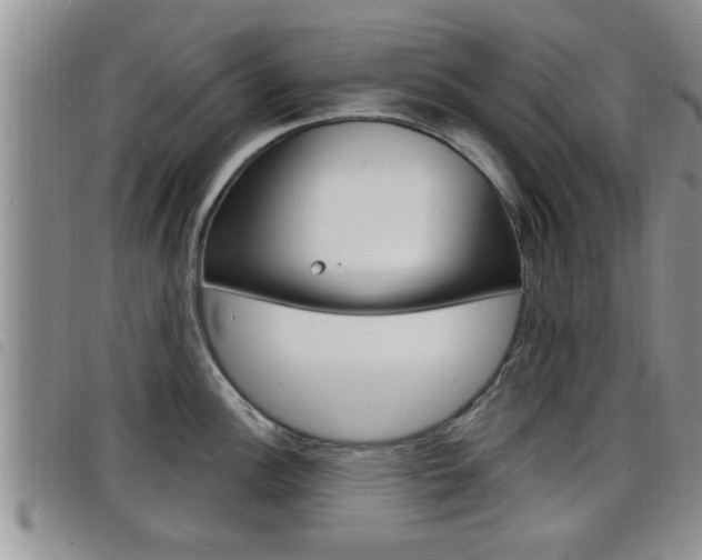 X0000098201148200804241032