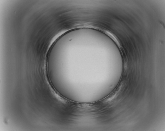 X0000098201149200804241032