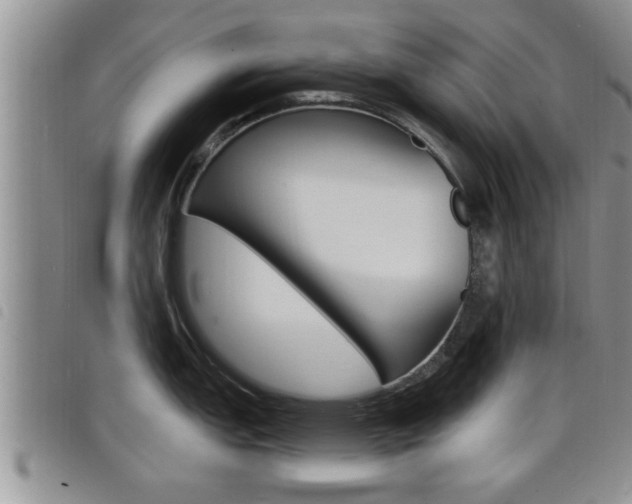 X0000098201151200804241032