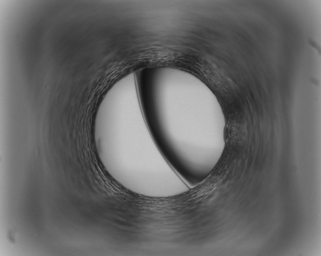 X0000098201153200804241032