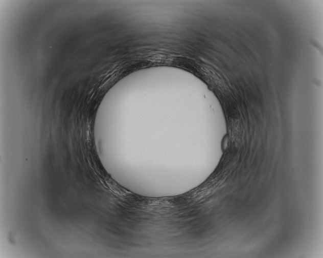X0000098201154200804241032