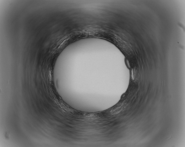 X0000098201155200804241032