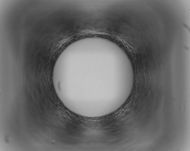 X0000098201157200804241032