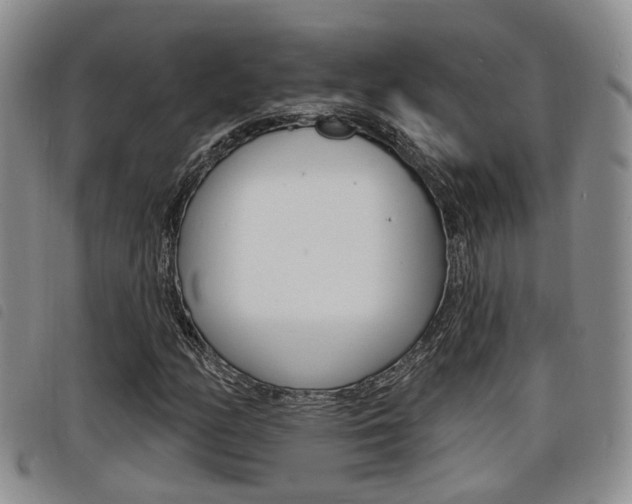X0000098201158200804241032