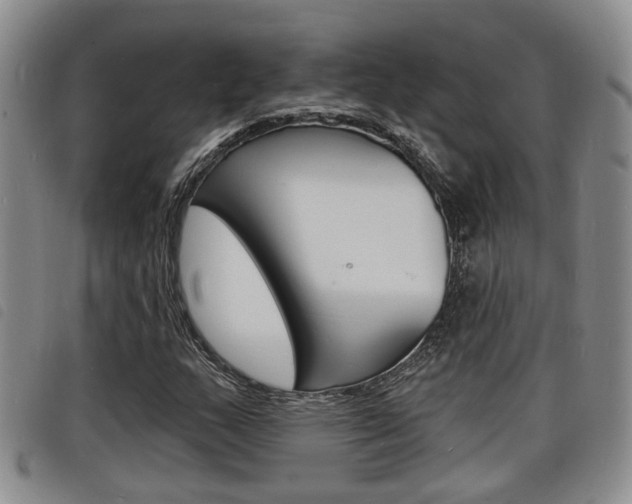 X0000098201159200804241032
