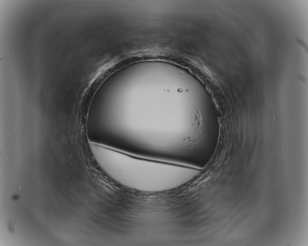 X0000098201160200804241032