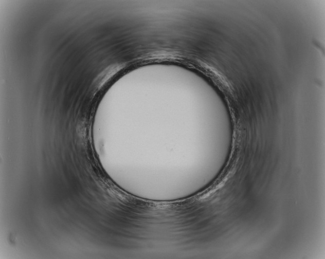 X0000098201162200804241032