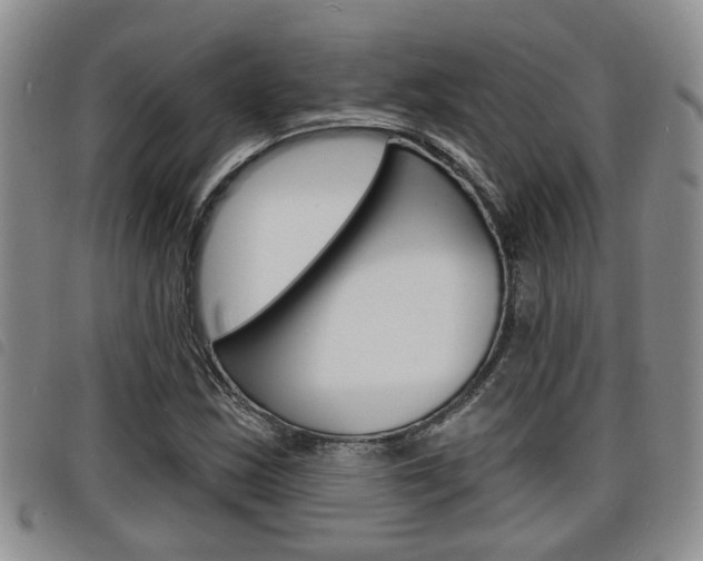 X0000098201163200804241032