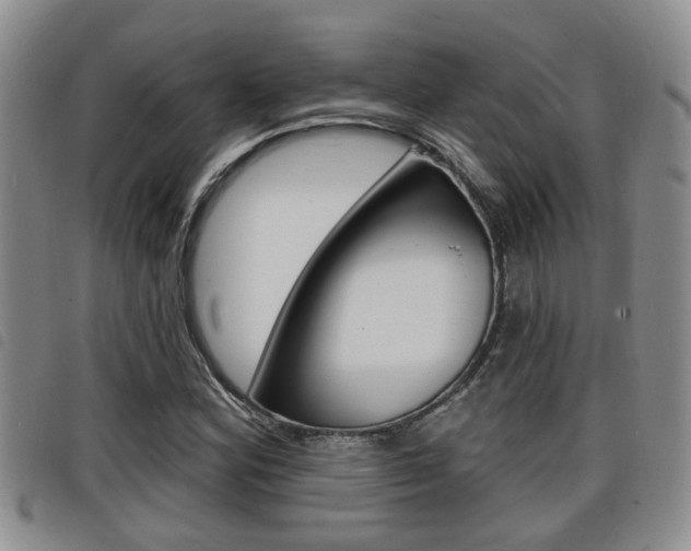 X0000098201164200804241031