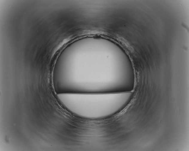 X0000098201165200804241031